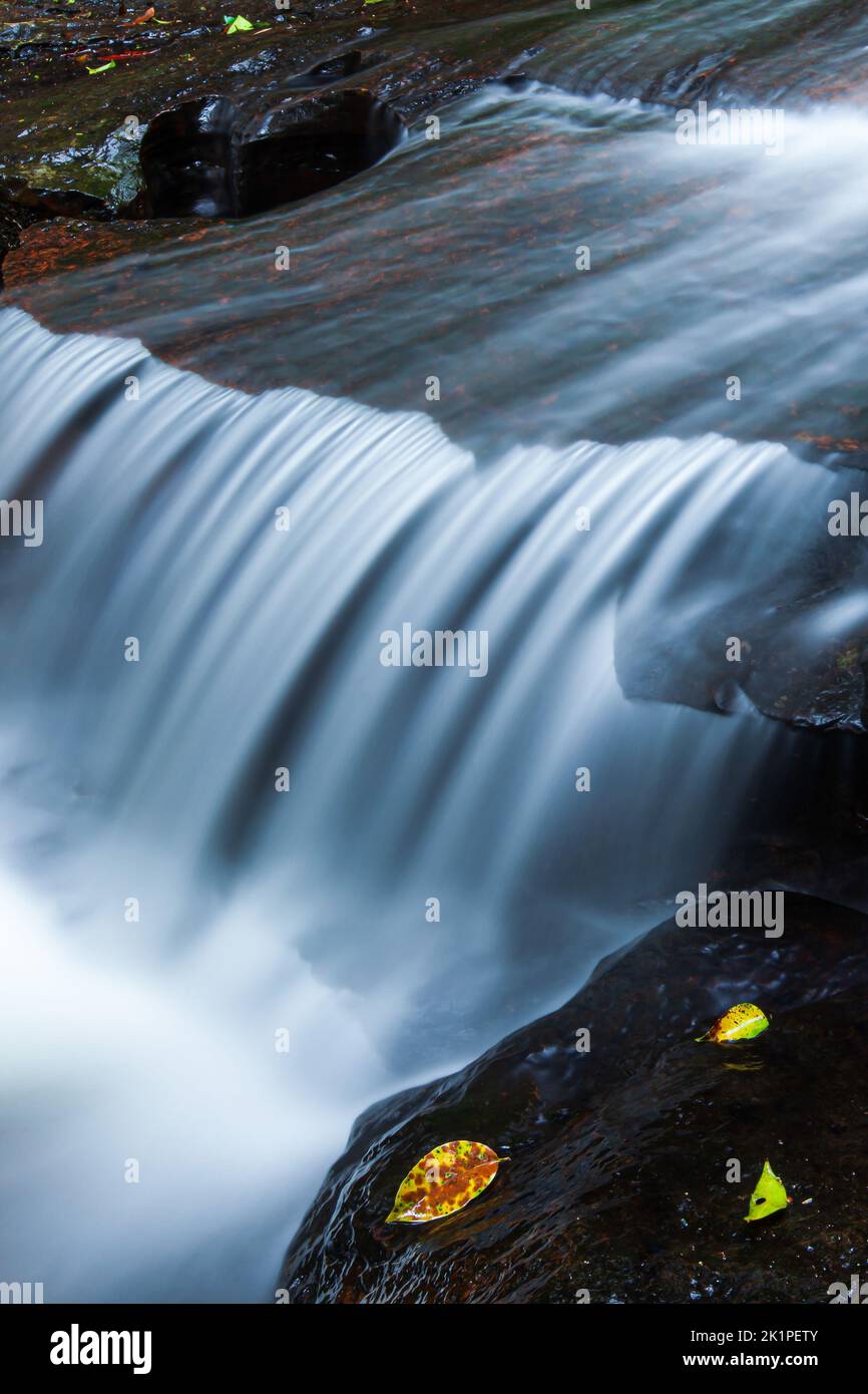 Close-up of a pure tropical waterfall in the rainy season, freshwater flowing over the edge of sedimentary sandstone, falling leaves on the rock. Stock Photo