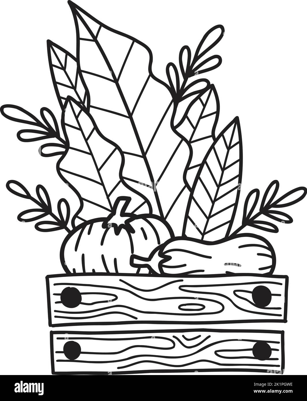 Hand Drawn Wooden baskets for fruits and vegetables illustration