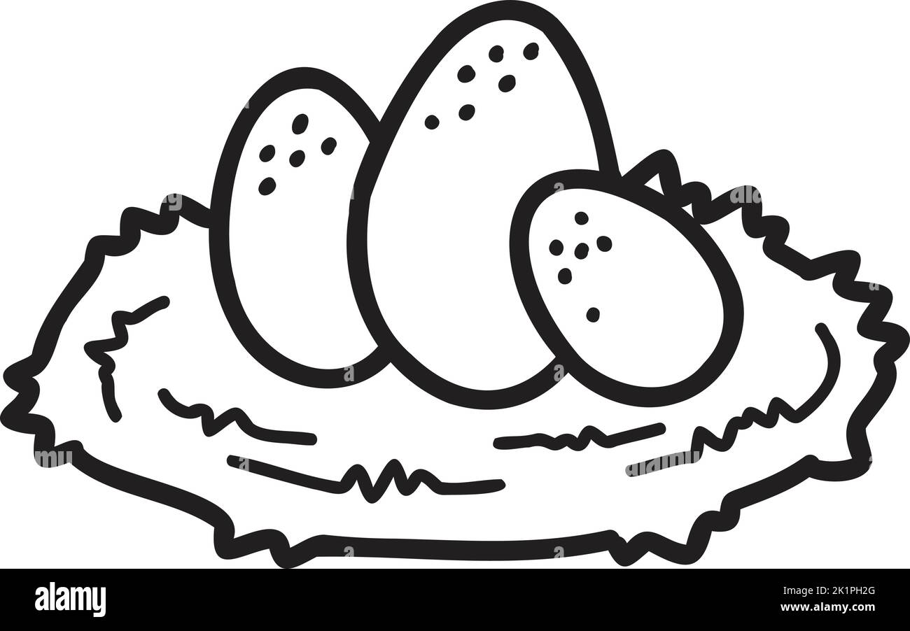 Hand Drawn chicken eggs in the nest illustration isolated on background