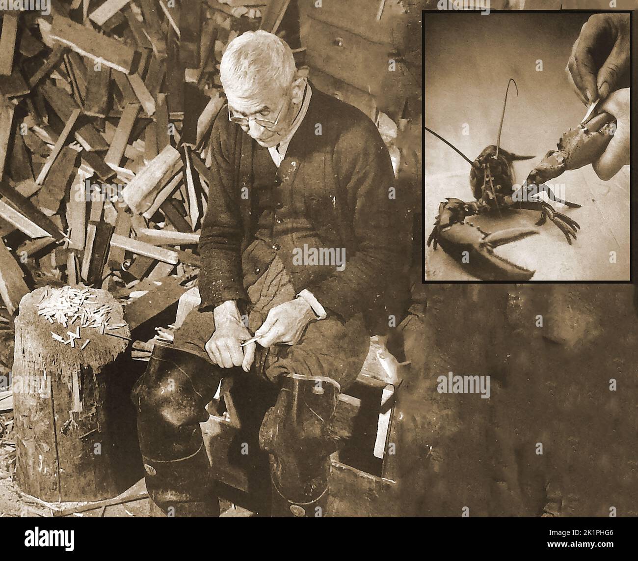 A 1940's American  ex fisherman carving lobster pegs by hand. The traditional pegs are intended to stop lobsters from crushing the fingers of those handling them by preventing the large claw joint from closing, as shown in the inset picture. Stock Photo