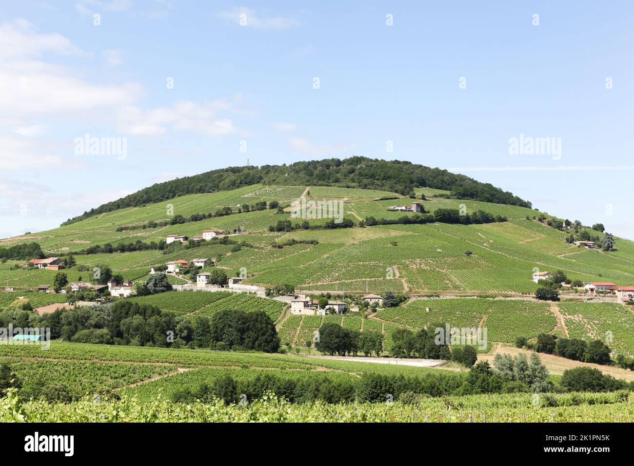View of Mont Brouilly and vineyards in Beaujolais, France Stock Photo