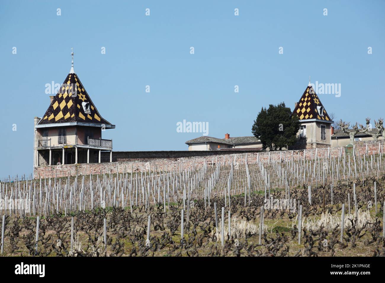 Towers in the garden of Chateau Portier in Beaujolais, France Stock Photo