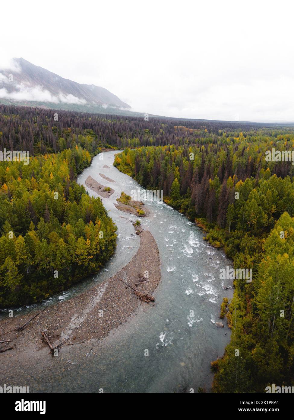 An aerial view of flowing river surrounded by growing dense trees Stock ...