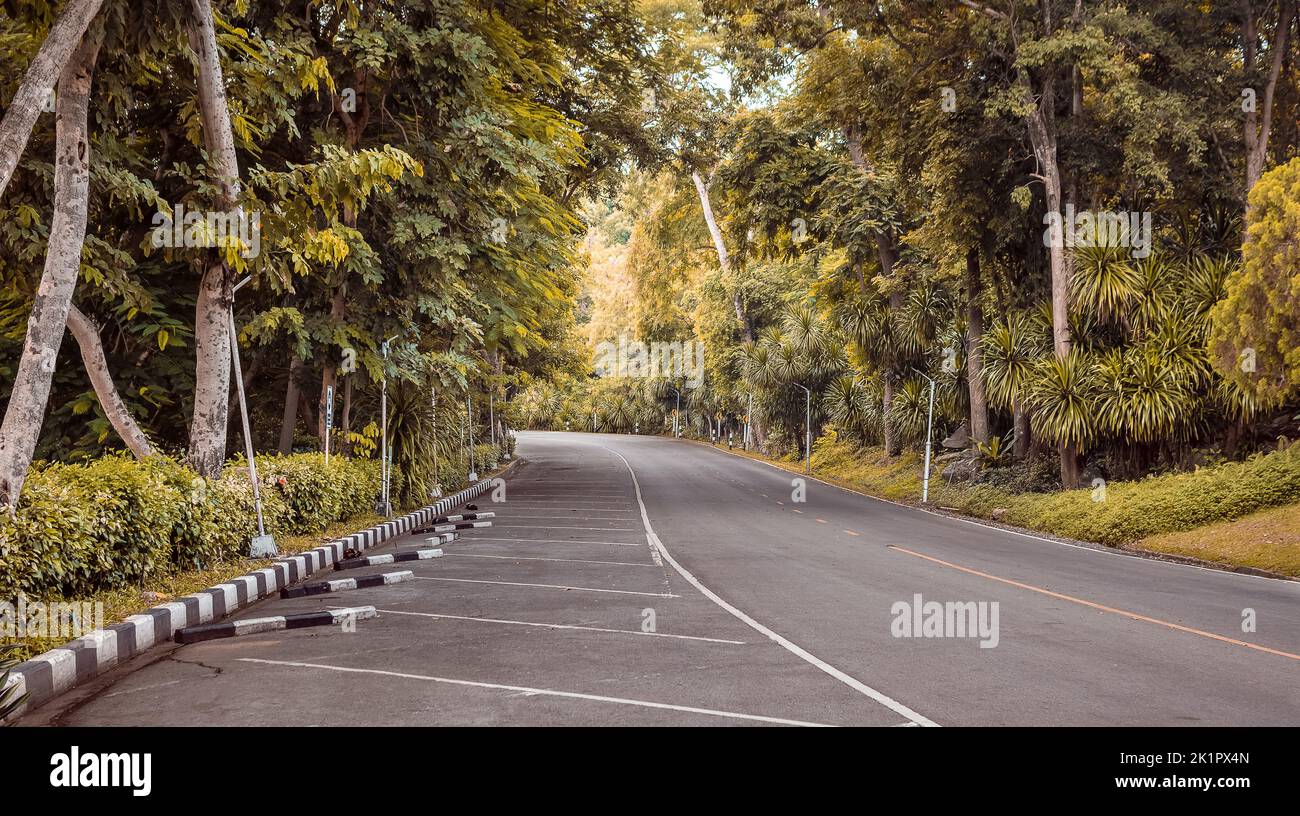 Road and forest in the park Ubonrat Dam, Khon Kaen Province, Thailand Stock Photo