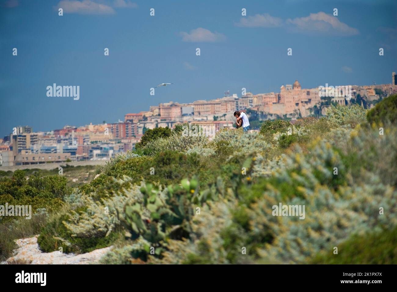 Cagliari, Skyline, view from Calamosca, Sardinia, Italy, Europe Stock Photo