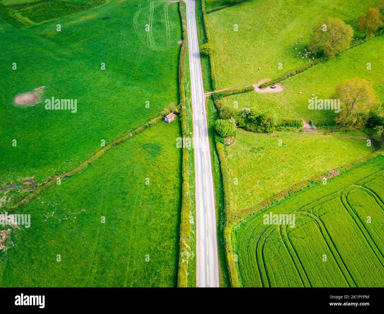 An aerial view of a road surrounded by lush green fields with bushes ...