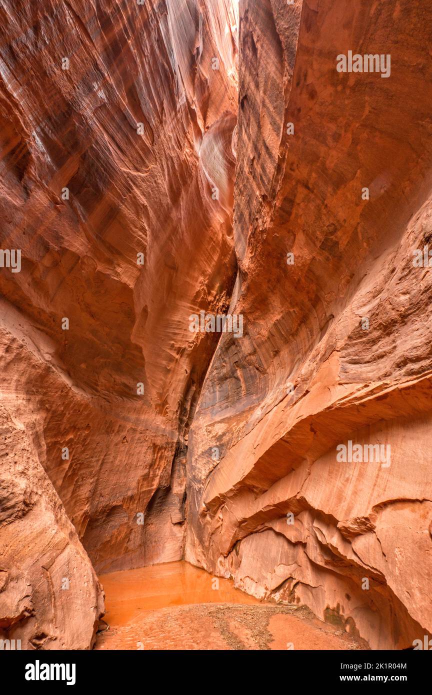 Unnamed slot canyon, water pool after heavy rain, at side of Long Canyon, Burr Trail Road, Grand Staircase-Escalante National Monument, Utah, USA Stock Photo