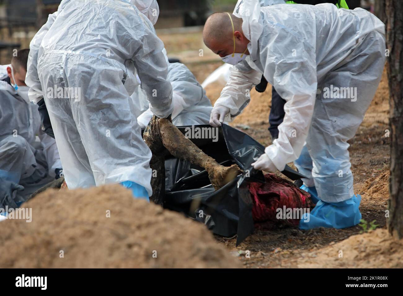 IZIUM, UKRAINE SEPTEMBER 19, 2022 Experts put the body into a human