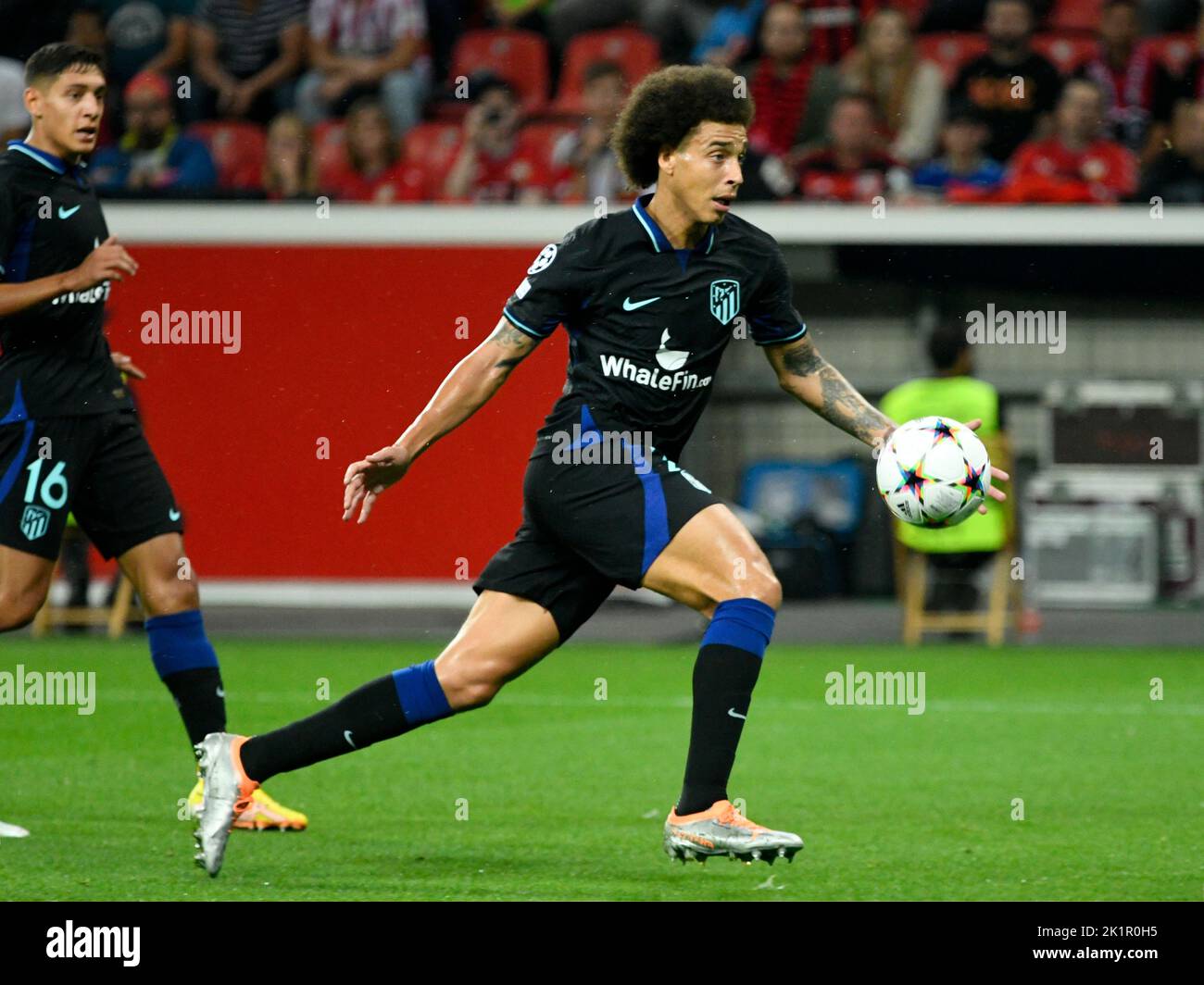 BayArena Leverkusen Germany 13.9.2022, Football: Champions League Season 2022/23, matchday 2, Bayer 04 Leverkusen (B04) vs Atletico Madrid (ATM) —  Axel Witsel (ATM)  UEFA REGULATIONS PROHIBIT ANY USE OF PHOTOGRAPHS AS IMAGE SEQUENCES AND/OR QUASI-VIDEO Stock Photo