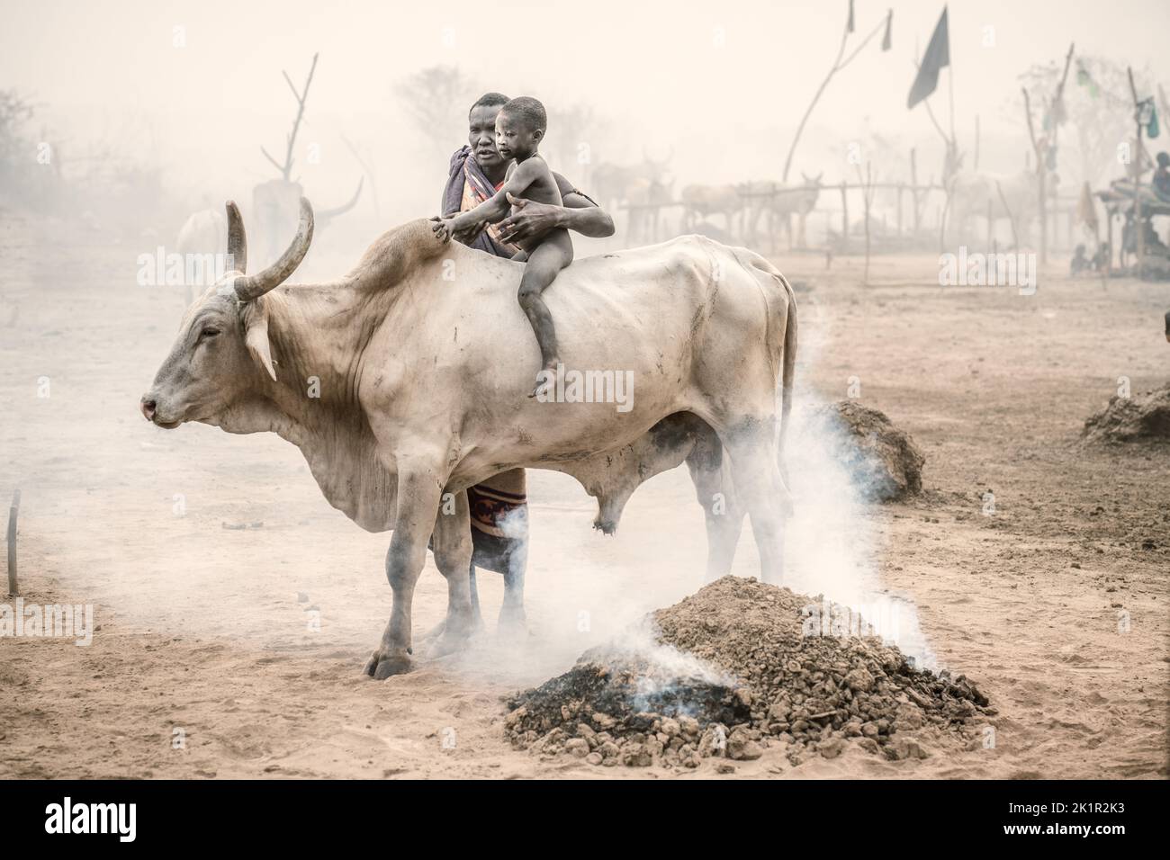 The bonding with the cattle starts young. South Sudan: THESE STUNNING images show the incredible bond between the Mundari people and their cattle in S Stock Photo