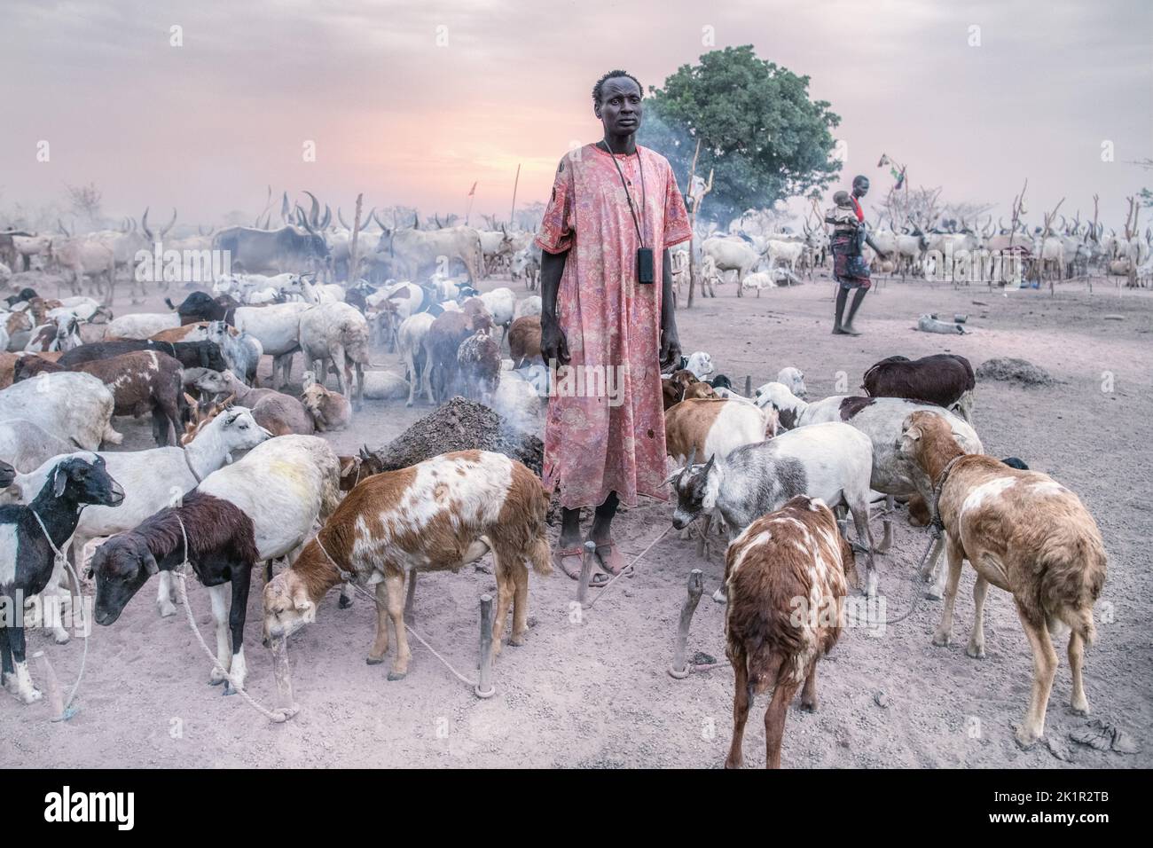 A herder with goats. South Sudan: THESE STUNNING images show the incredible bond between the Mundari people and their cattle in South Sudan. One image Stock Photo
