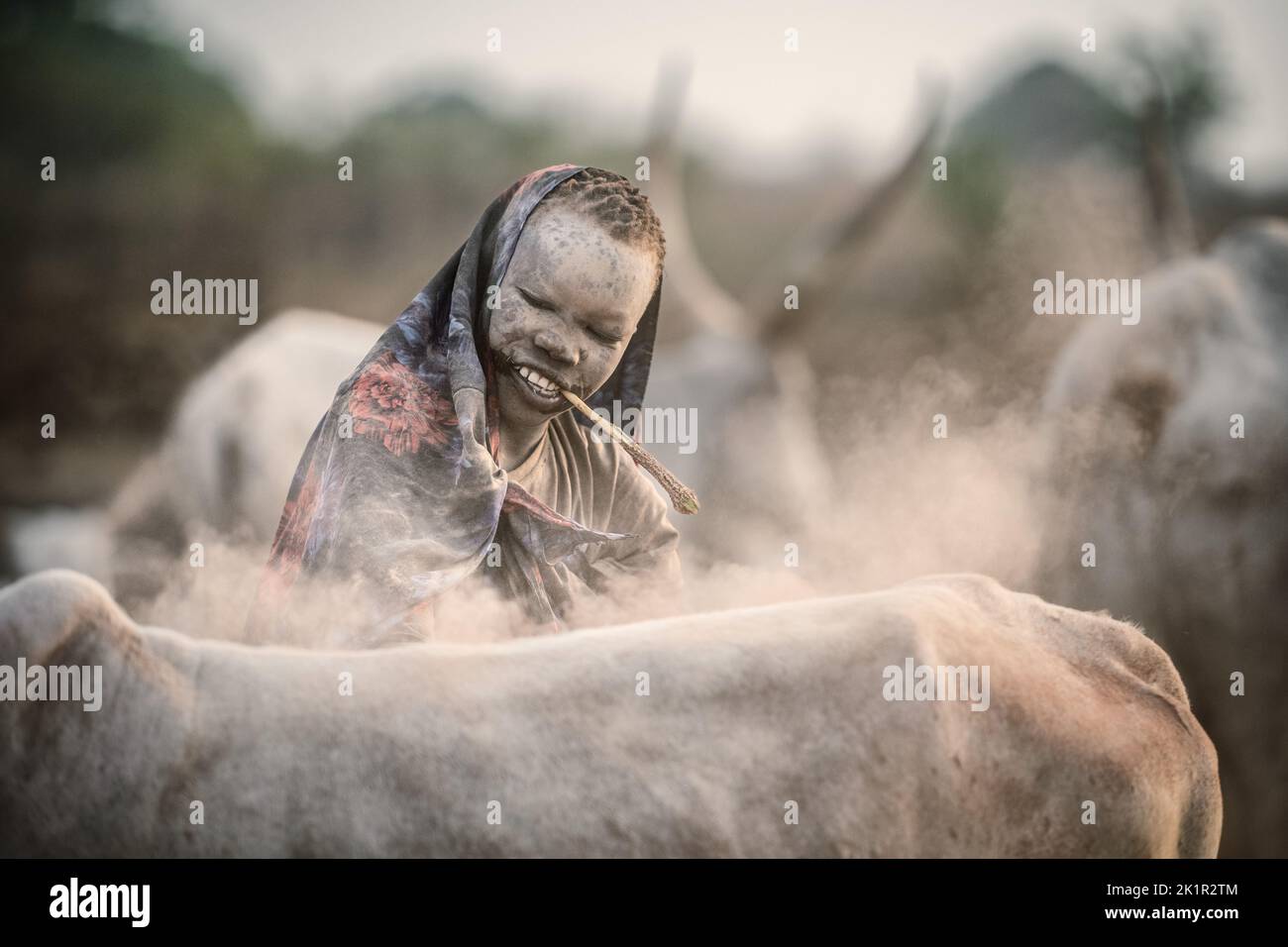 A child with a cow in the morning. South Sudan: THESE STUNNING images show the incredible bond between the Mundari people and their cattle in South Su Stock Photo