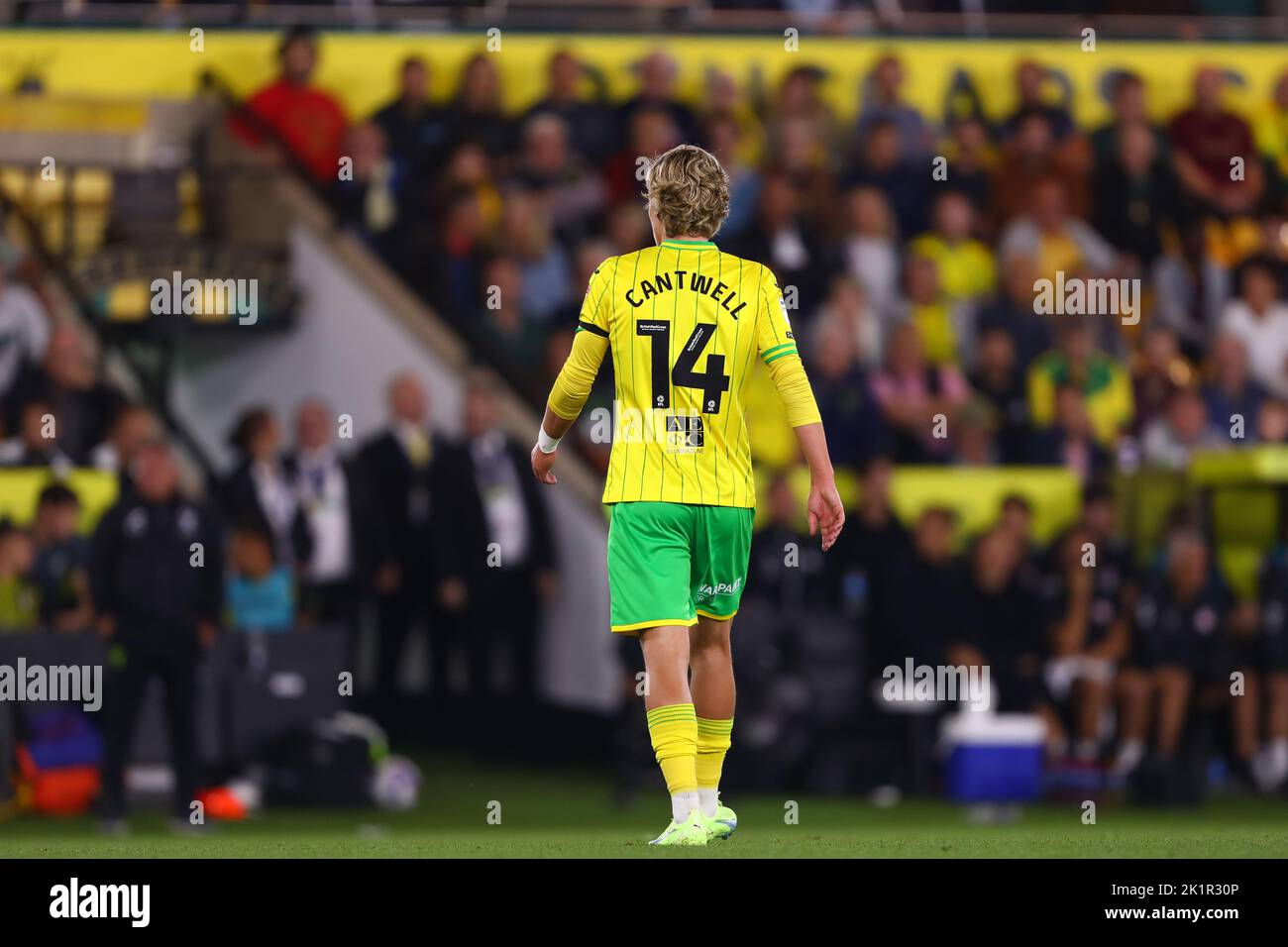 Todd Cantwell of Norwich City - Norwich City v Bristol City, Sky Bet Championship, Carrow Road, Norwich, UK - 14th September 2022  Editorial Use Only - DataCo restrictions apply Stock Photo