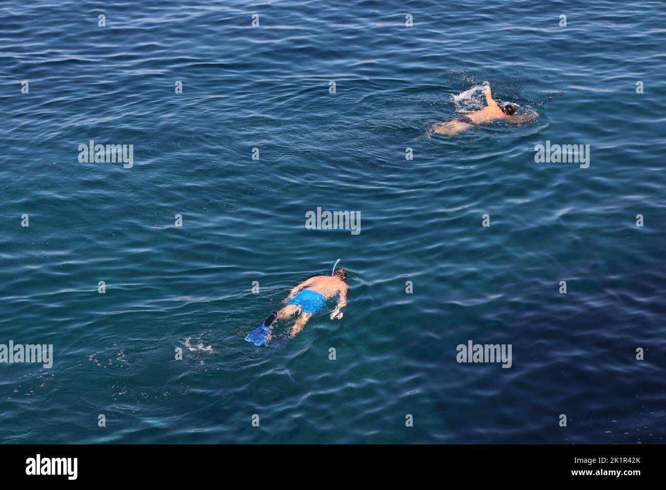 Men snorkeling in the sea Stock Photo - Alamy