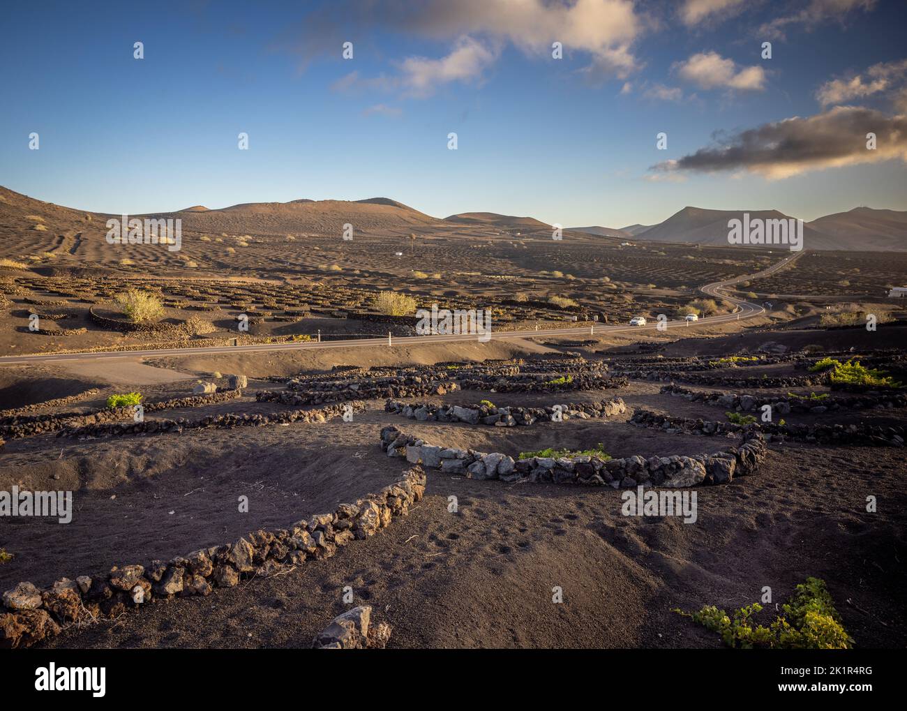 Sunset at a typical vineyard in La Geria region on the island Lanzarote protecting the grapevines against the heavy winds by building walls out of lav Stock Photo