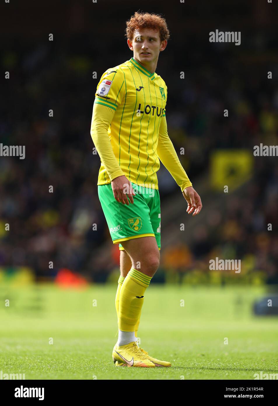 Josh Sargent of Norwich City - Norwich City v West Bromwich Albion, Sky Bet Championship, Carrow Road, Norwich, UK - 17th September 2022  Editorial Use Only - DataCo restrictions apply Stock Photo