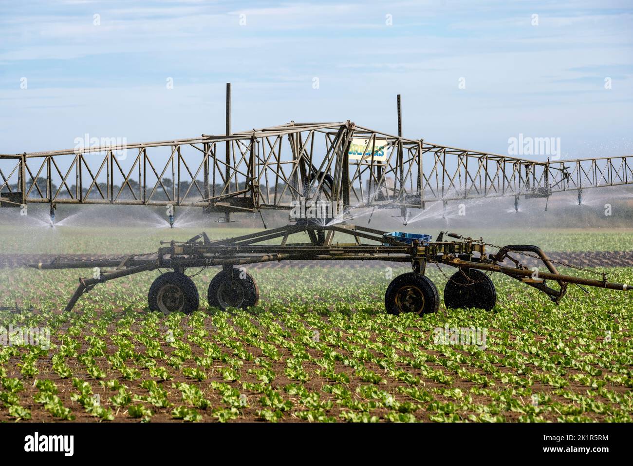 Briggs irrigation system Stock Photo Alamy