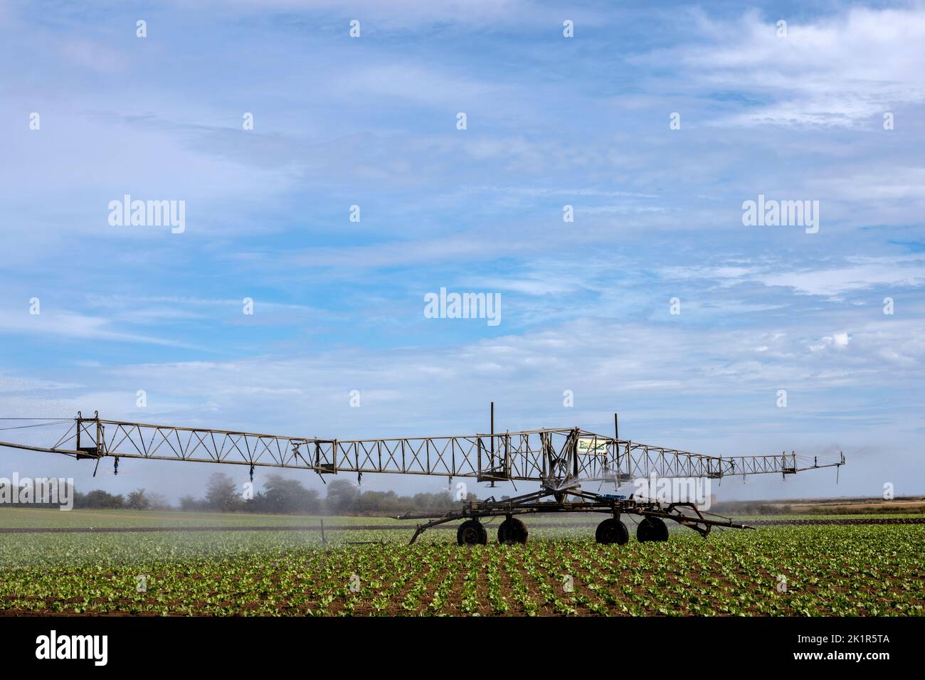 Briggs irrigation system Stock Photo