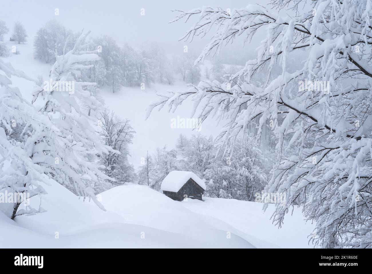 Fabulous winter view of a wooden house in a snowy mountain forest after a snowfall Stock Photo