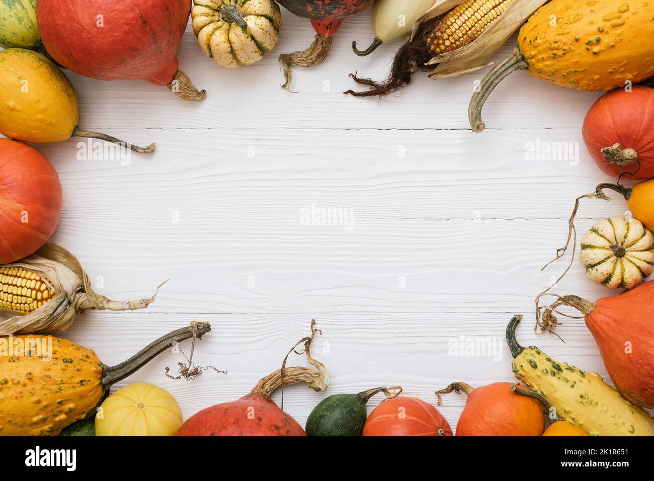 Thanksgiving holiday background with decorative frame of pumpkin harvest, winter squash and corncobs on white wooden table Stock Photo