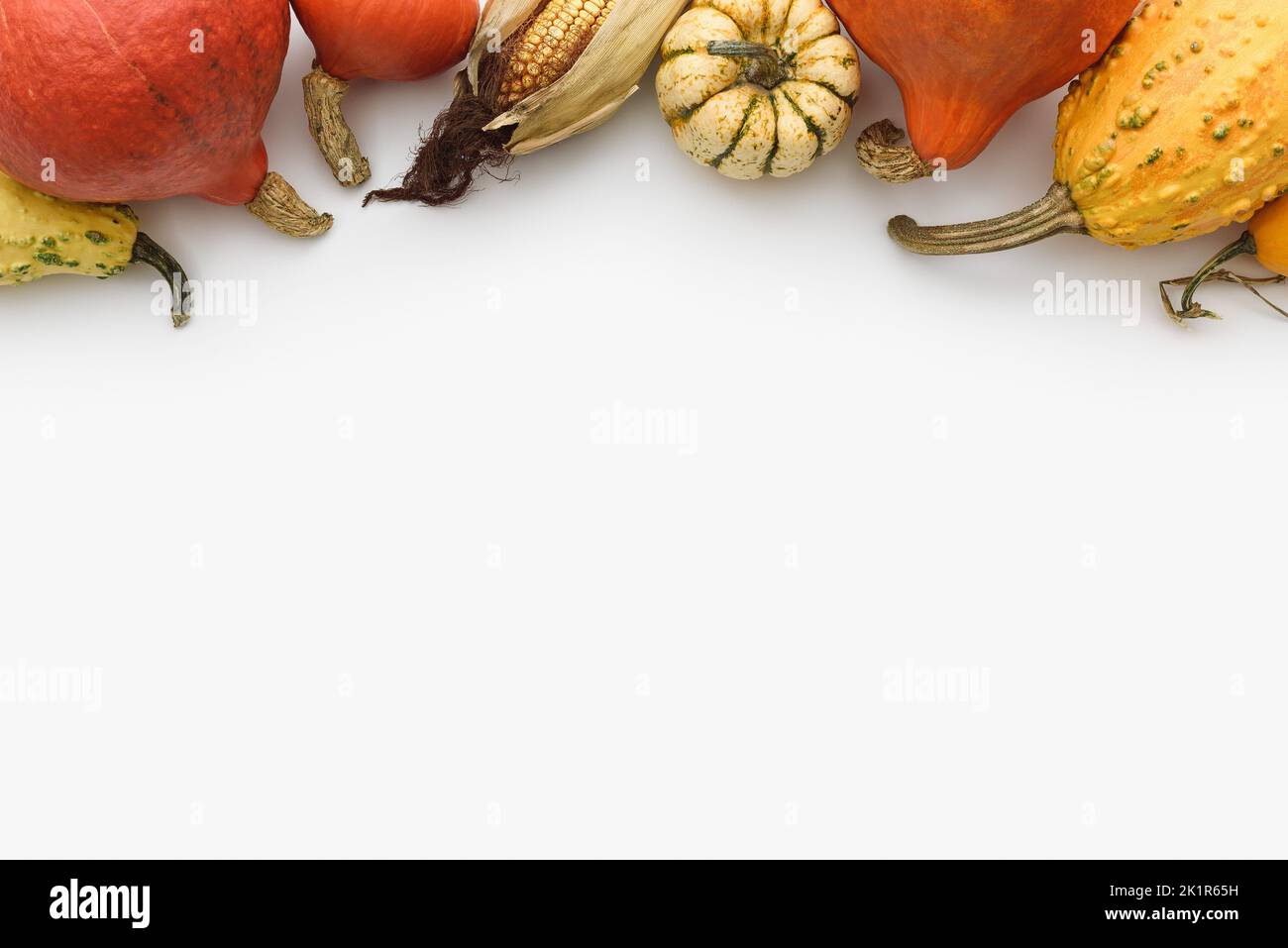 Autumn card with a border of pumpkins and decorative gourds on a white background with copy space for text Stock Photo