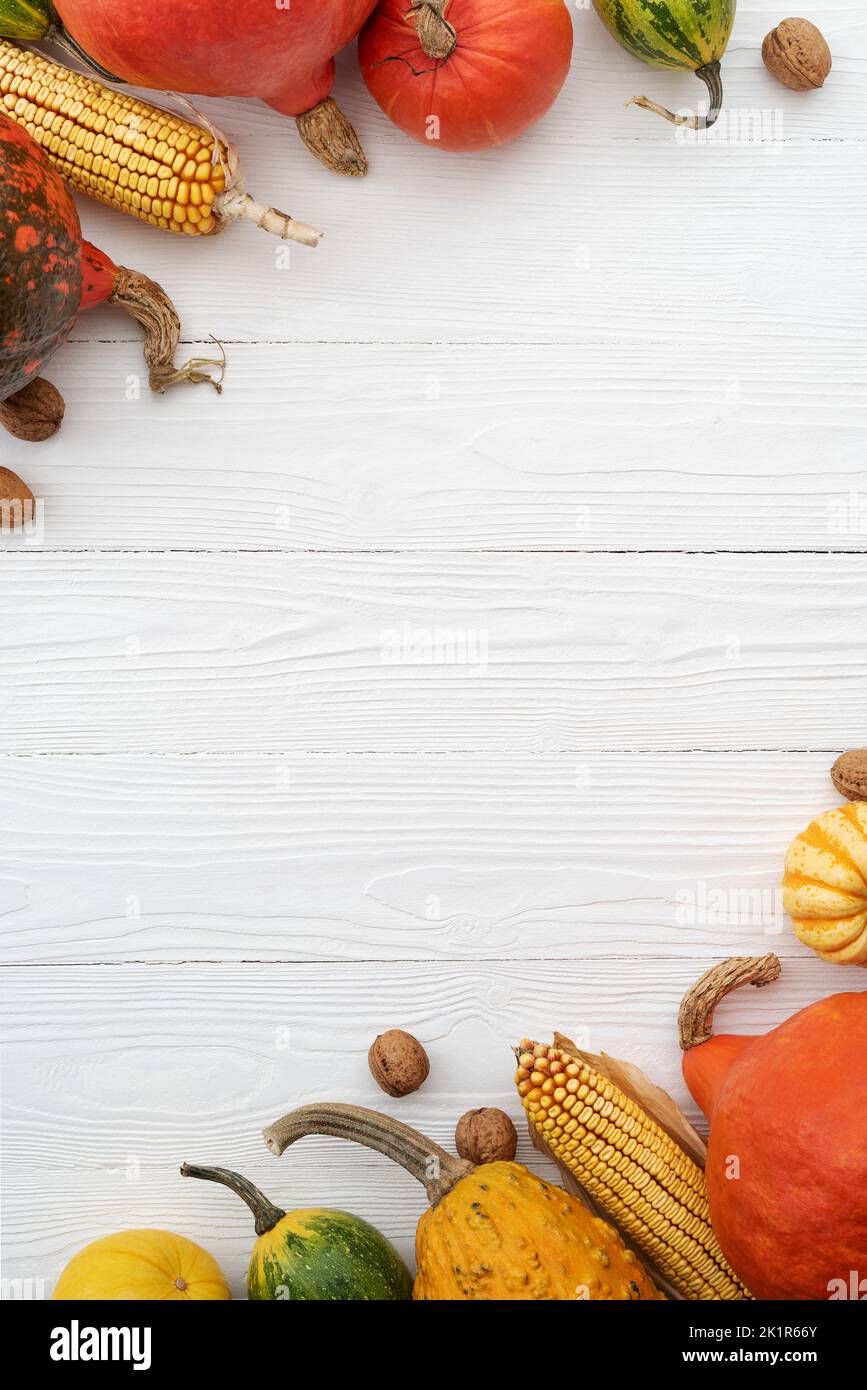 White autumn background with copy space for text and decorative frame from pumpkin harvest Stock Photo