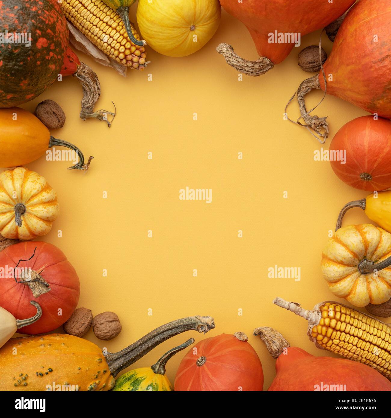 Yellow autumn background with copy space and decorative frame from pumpkin harvest Stock Photo
