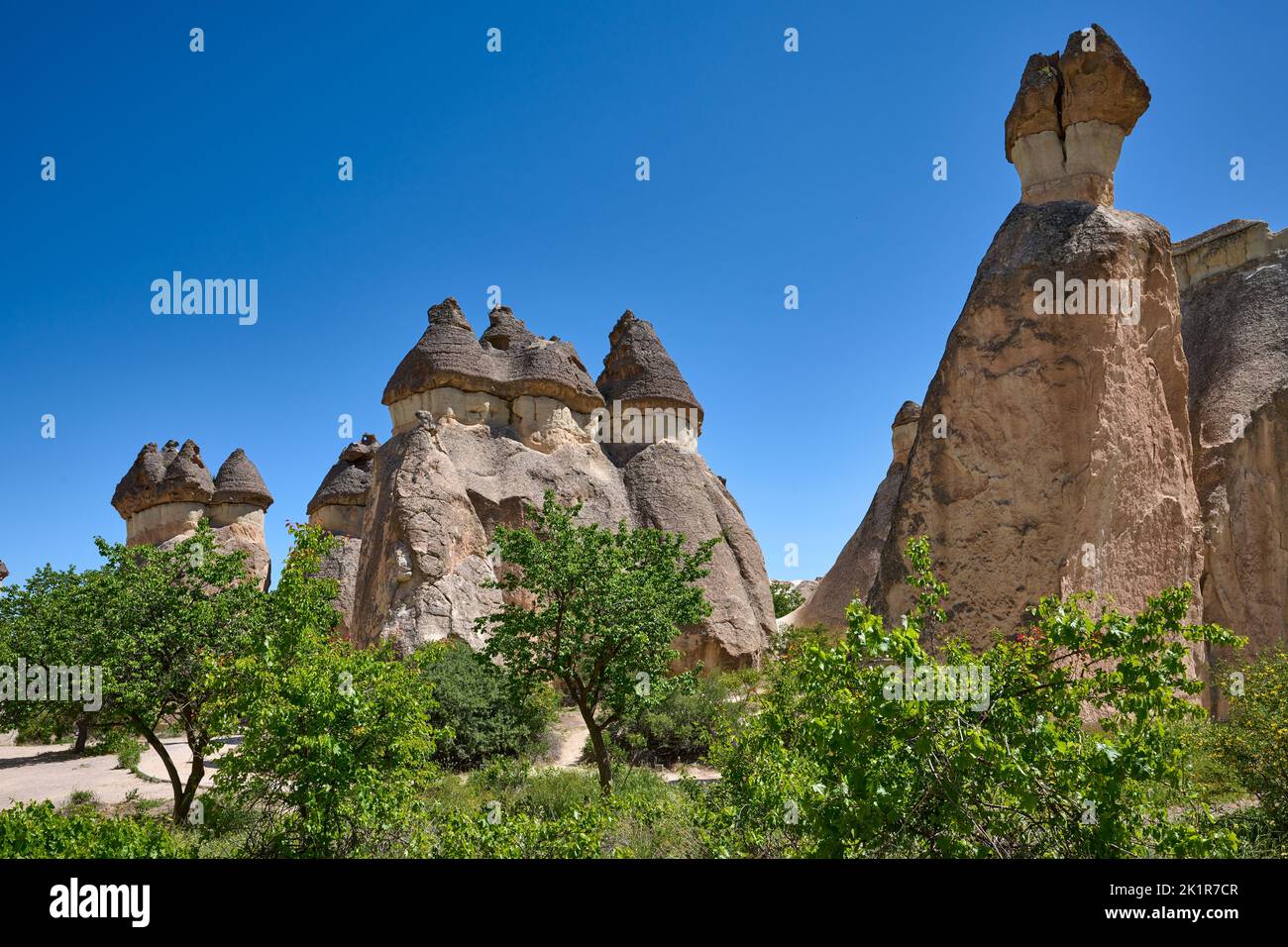 Mushroom shaped fairy chimneys hi-res stock photography and images - Alamy
