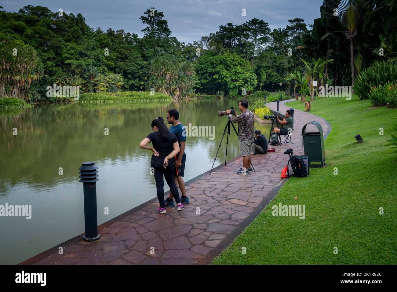 Visitors photographing birds at Symphony Lake in Singapore Botanic Gardens established in 1859 and covering 82 hectares. Stock Photo