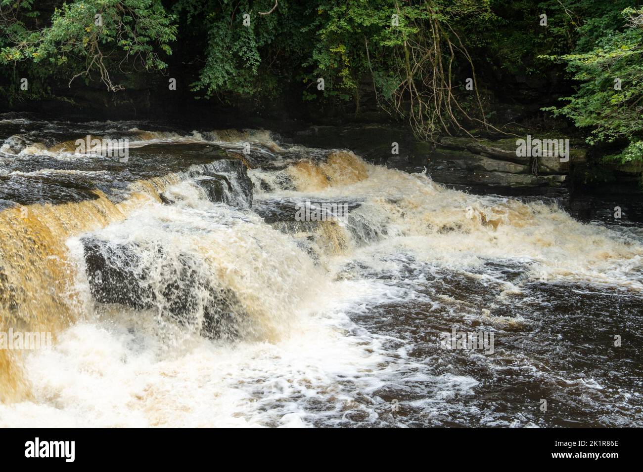 The Falls of Clyde - a waterfall on the River Clyde in Scotland, UK. Stock Photo