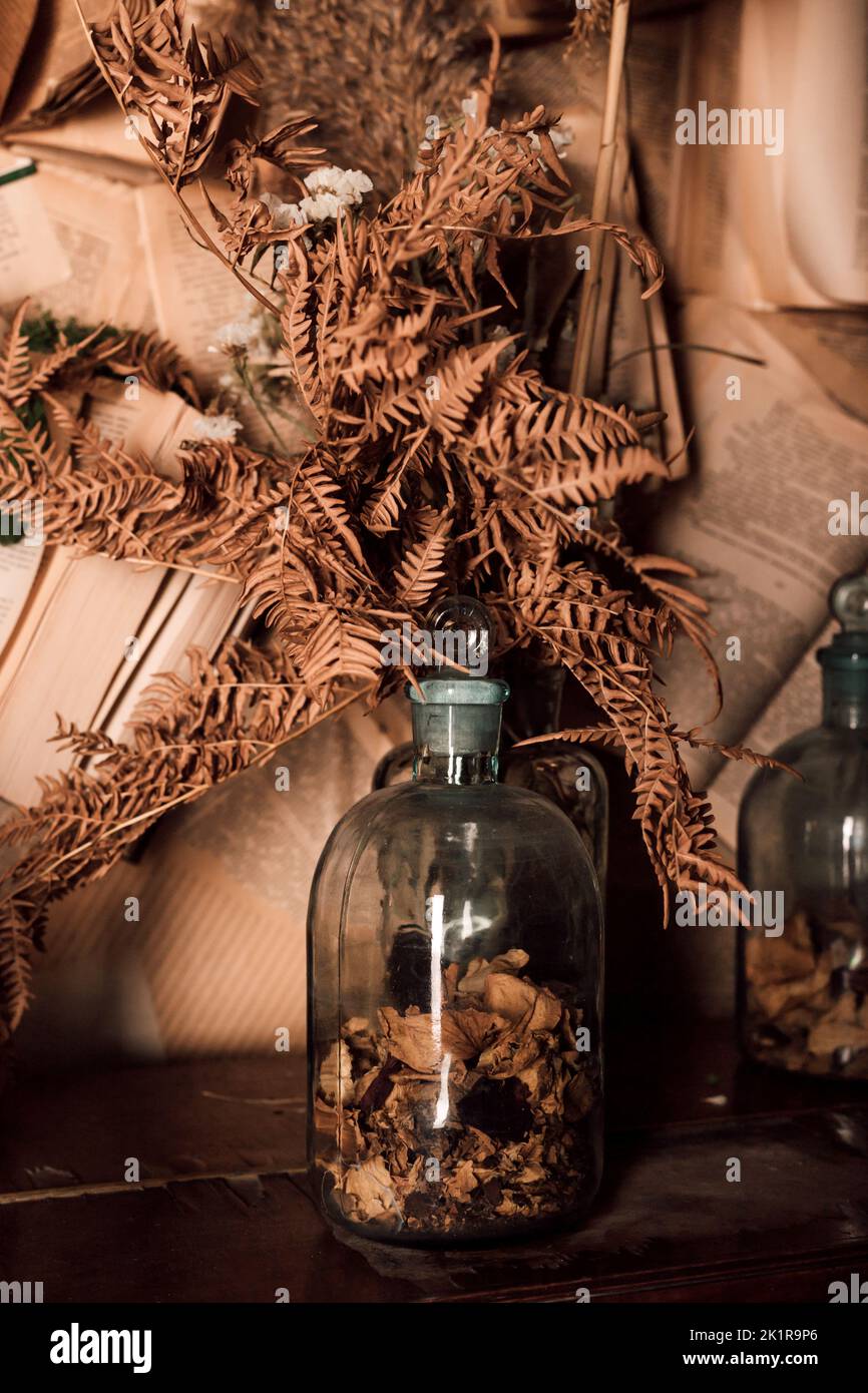 Loft composition of dried flowers in a home dark interior Stock Photo