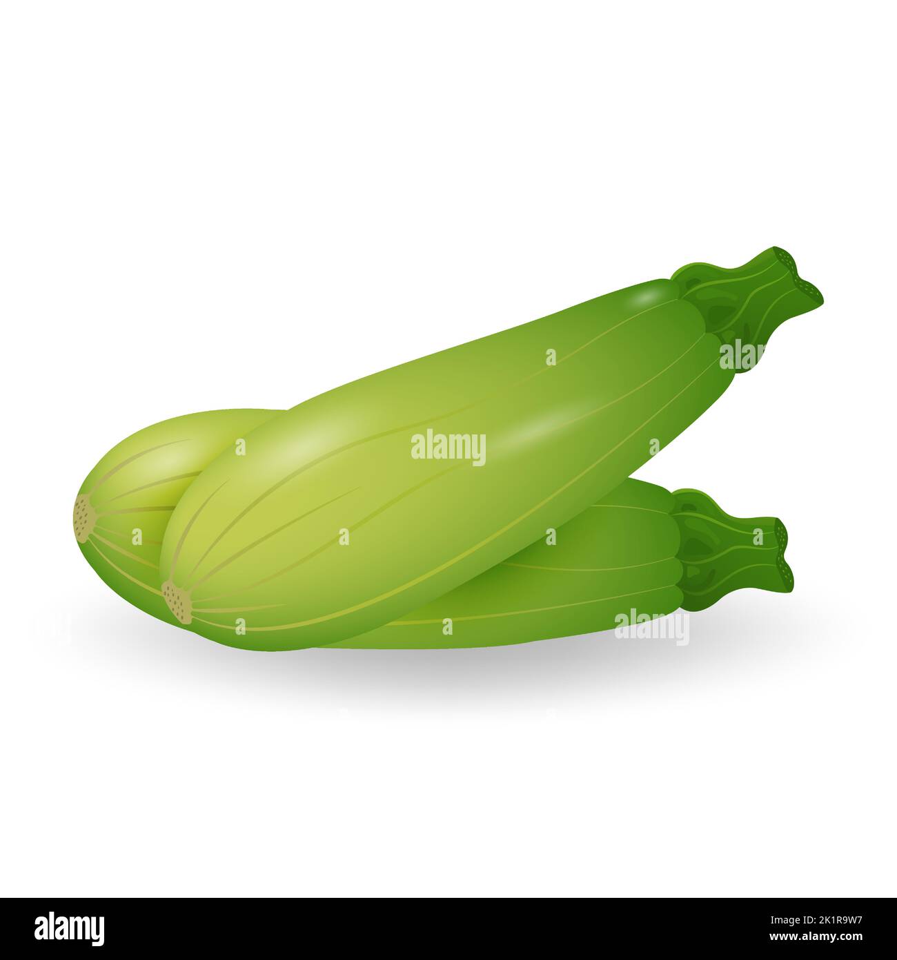 https://c8.alamy.com/comp/2K1R9W7/marrow-zucchini-isolated-on-white-background-fresh-vegetables-vector-illustration-2K1R9W7.jpg