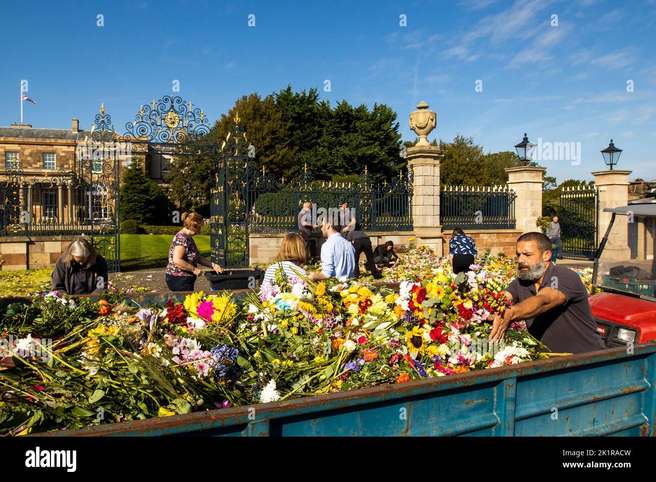 Flowers which were laid by members of the public in tribute to Queen Elizabeth II at Hillsborough Castle in Northern Ireland are collected by the Hillsborough Gardening Team and volunteers to be replanted for those that can be saved or composted. Picture date: Tuesday September 20, 2022. Stock Photo