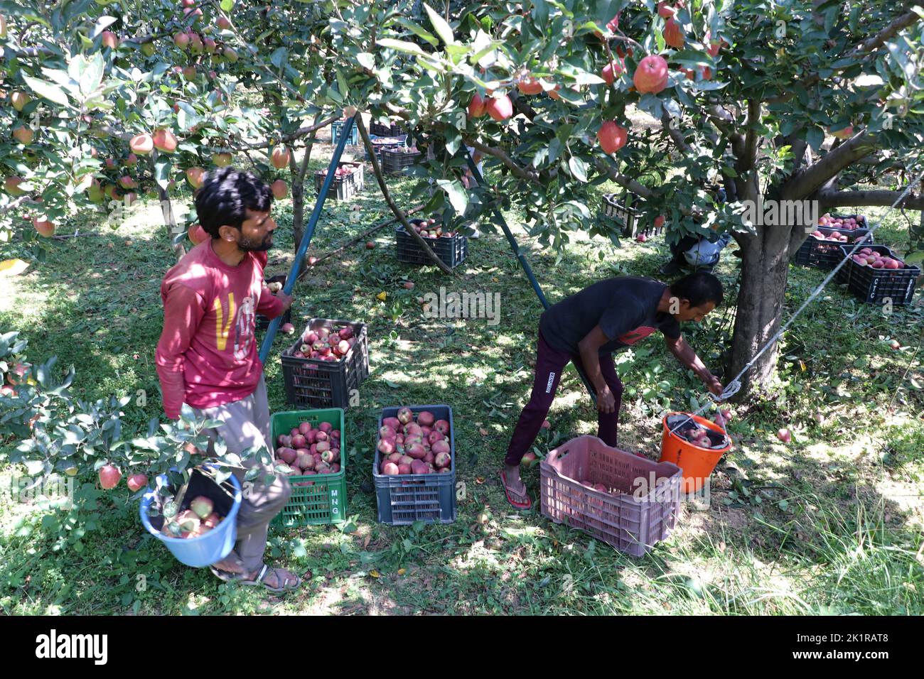 September 20, 2022, Pulwama, Jammu and Kashmir, India A worker seen