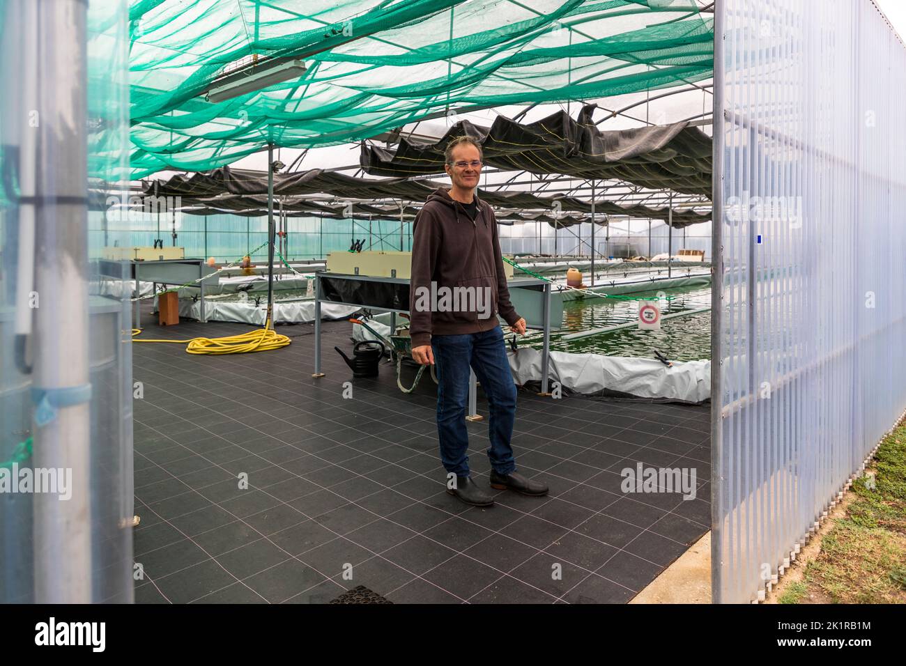 Blue Spirulina algae, are cyanobacteria produced at Pointe d'Argent in the greenhouse in