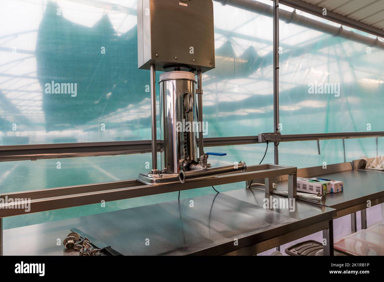 Blue Spirulina algae, are cyanobacteria produced at Pointe d'Argent in the greenhouse in