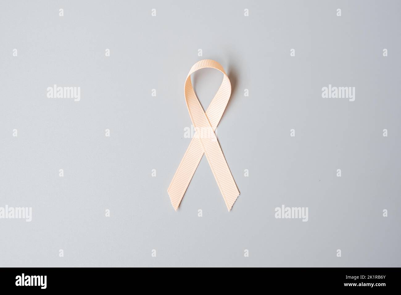Peach Cancer Ribbons September Uterine Cancer Awareness month, Peach Ribbon for supporting ...