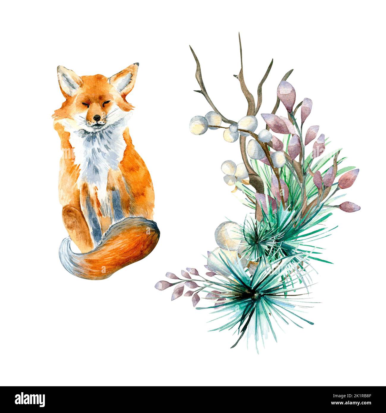 Set for Christmas composition with fox watercolor illustration isolated ...