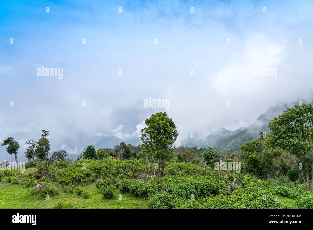 Colors of Rural life in Tamilnadu, south India. 10th September 2022 ...