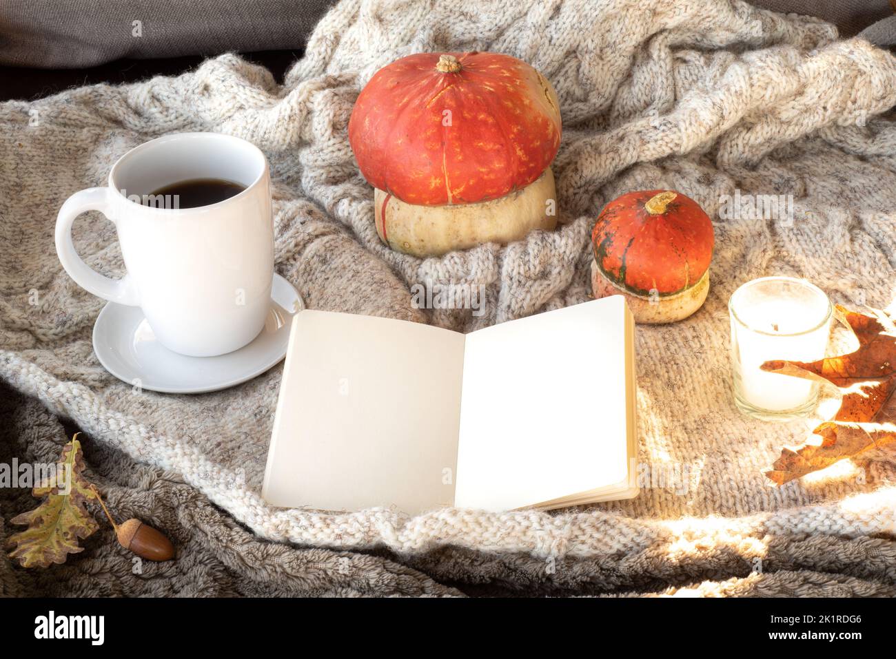 Cozy autumn breakfast scene in sunlight.Blank open notebook mockup with ...