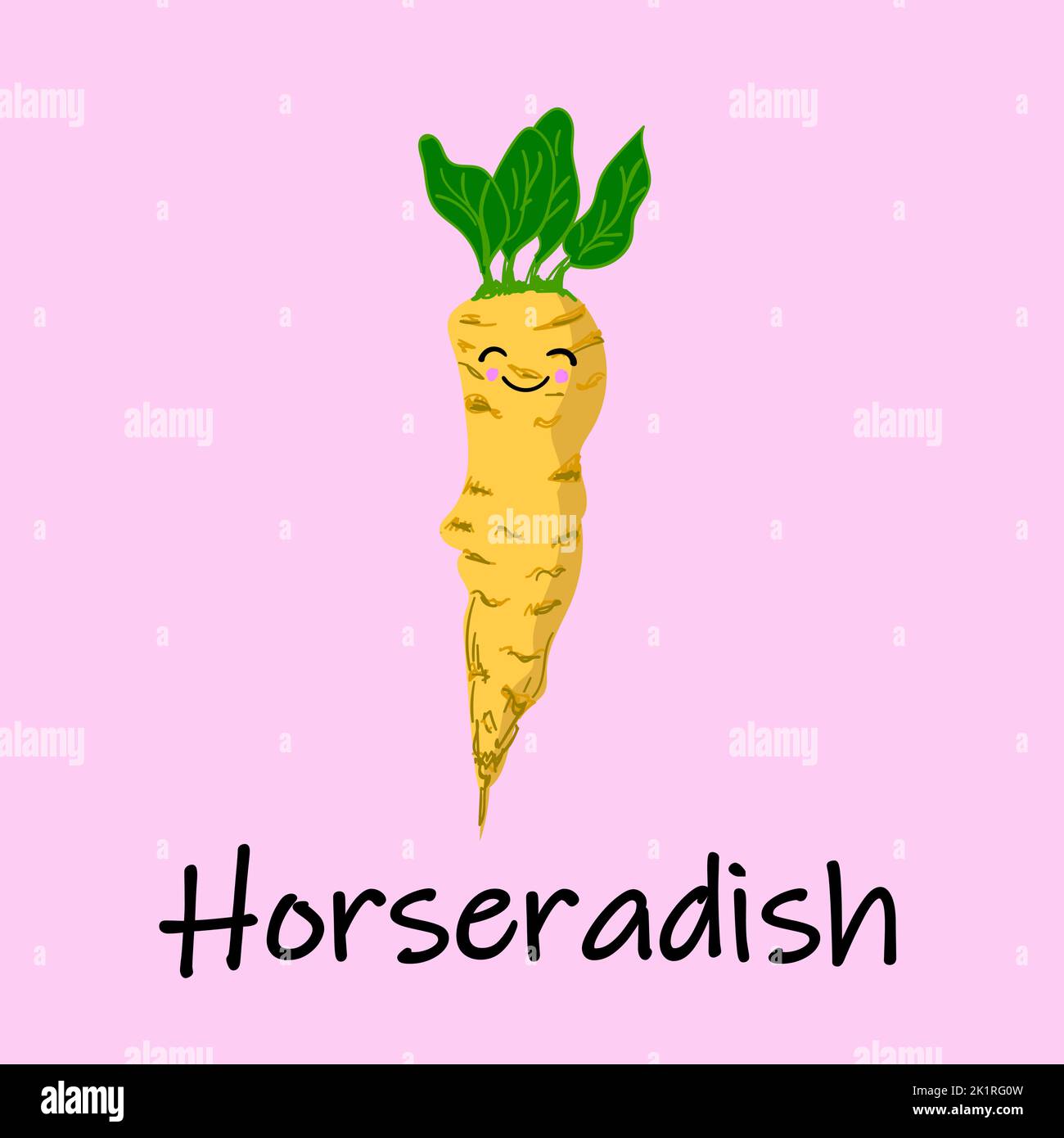 Horseradish root and grated horseradish.Vector illustration of an