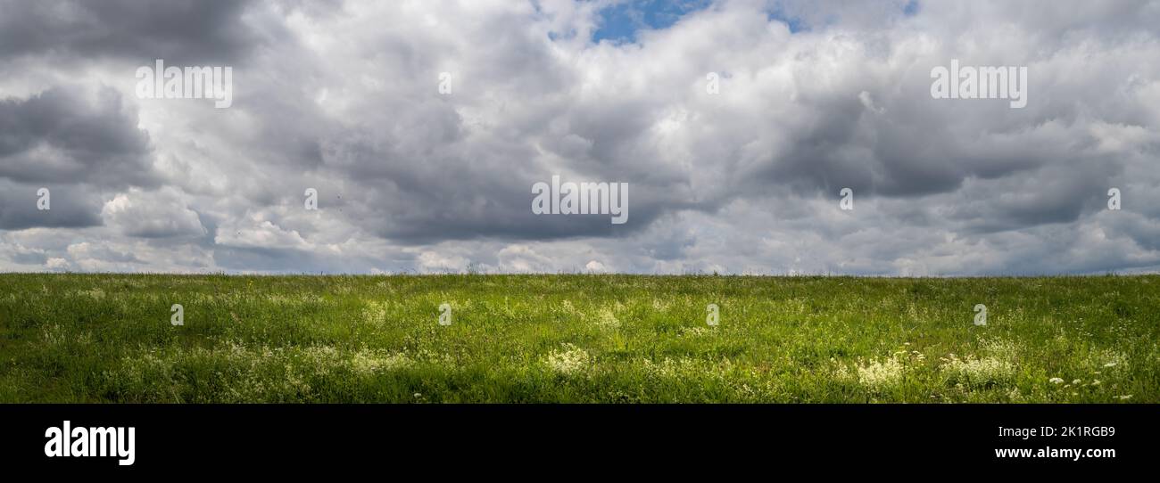 landscape with green grass field, cloudy sky Stock Photo