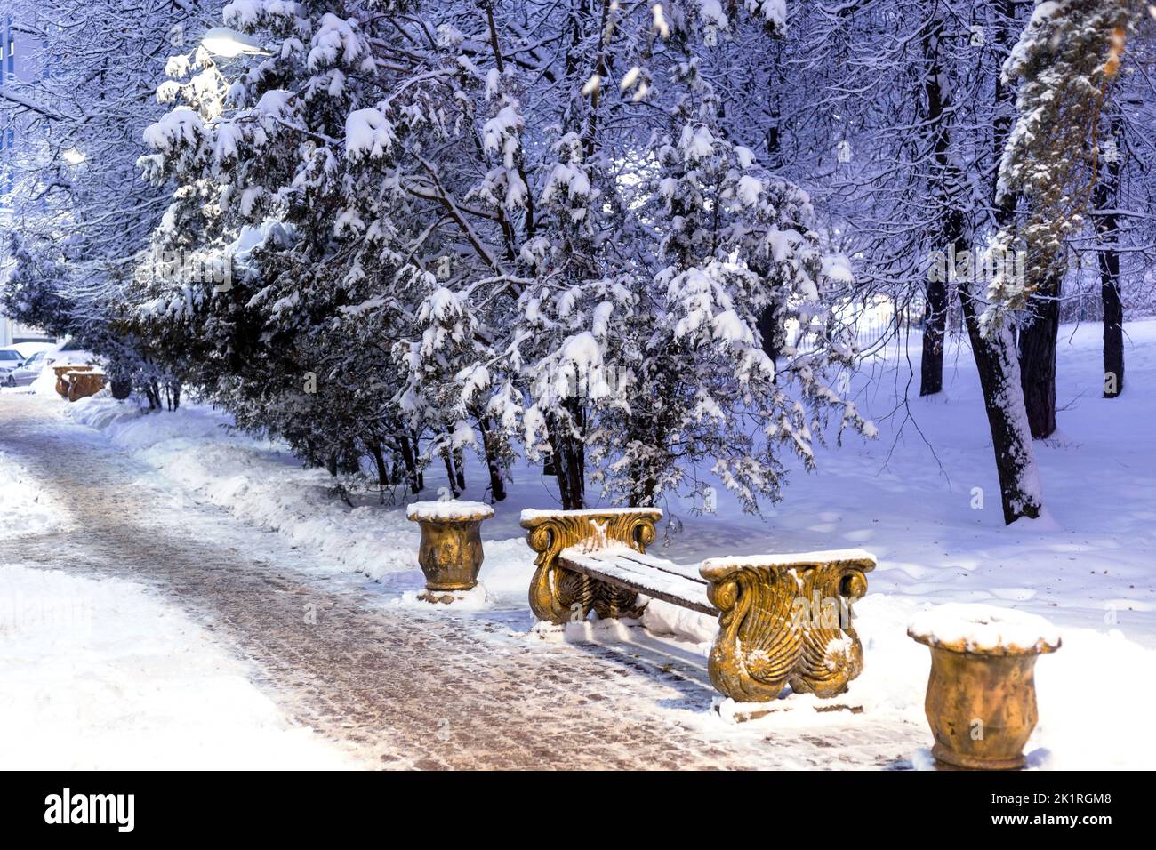 A lonely golden bench and trees covered with snow in a city park. The ...