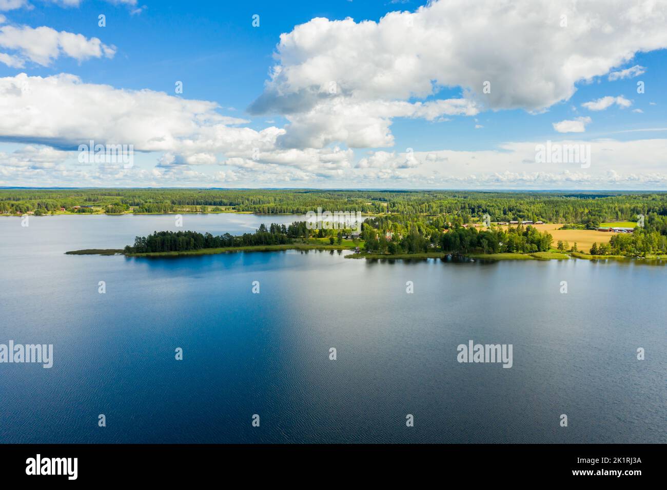 An aerial view of green lake surrounded by growing lush trees Stock ...