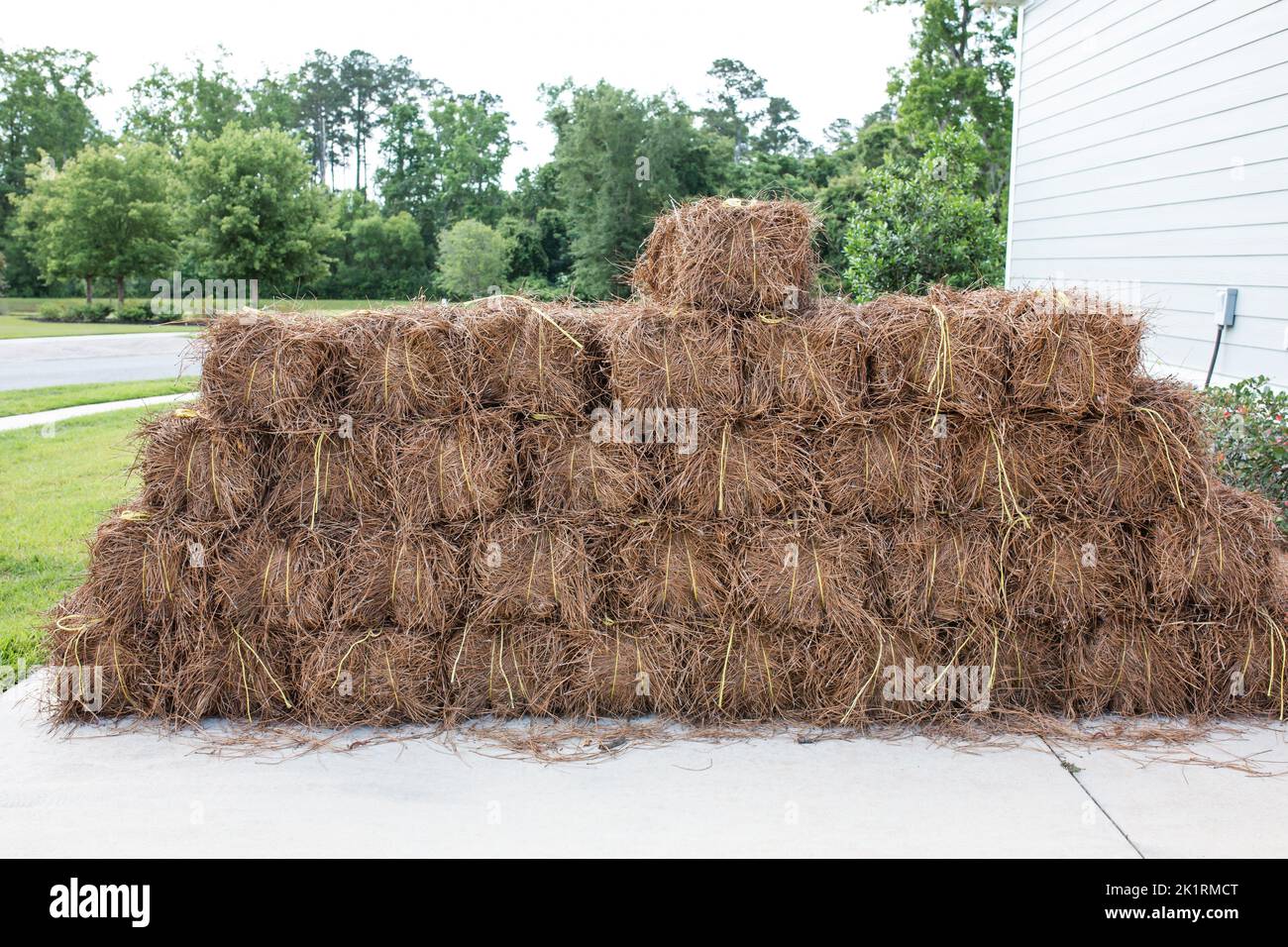 A large pile of pine straw bales for home garden beds in the fall or spring sitting on a concrete driveway. Stock Photo