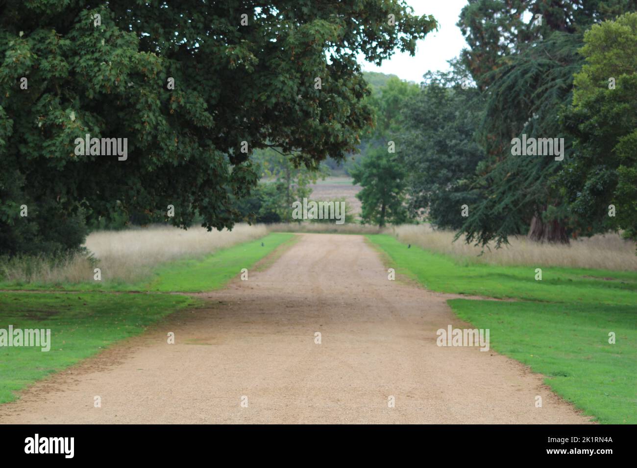 A pathway in a green park with tall trees Stock Photo - Alamy