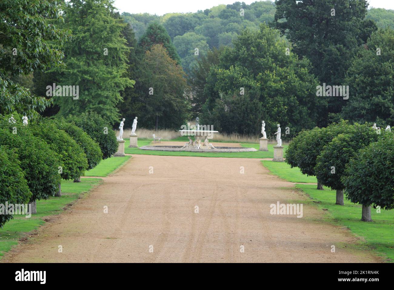 A pathway in a green park with tall trees Stock Photo - Alamy