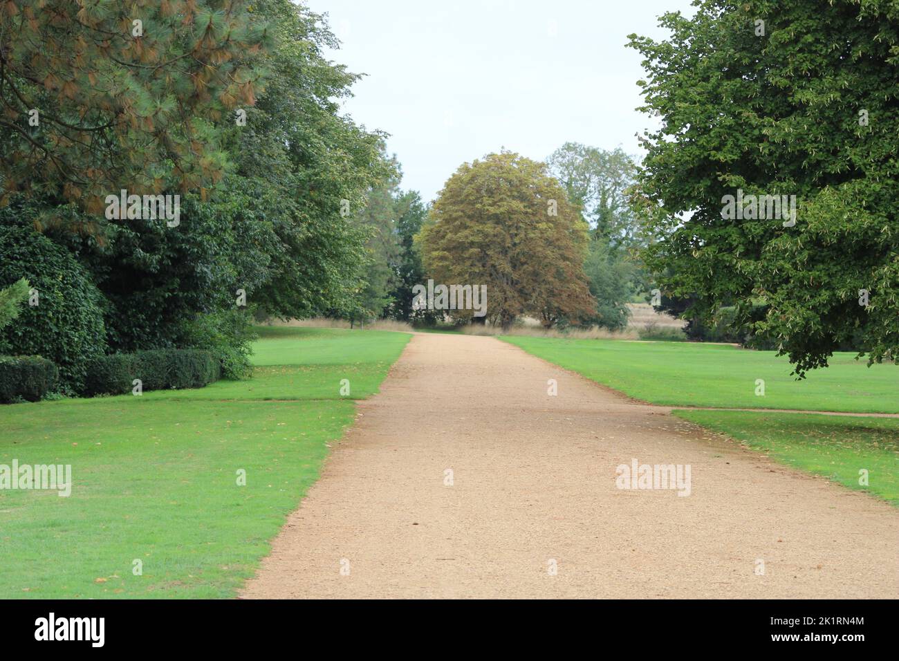 A pathway in a green park with tall trees Stock Photo - Alamy