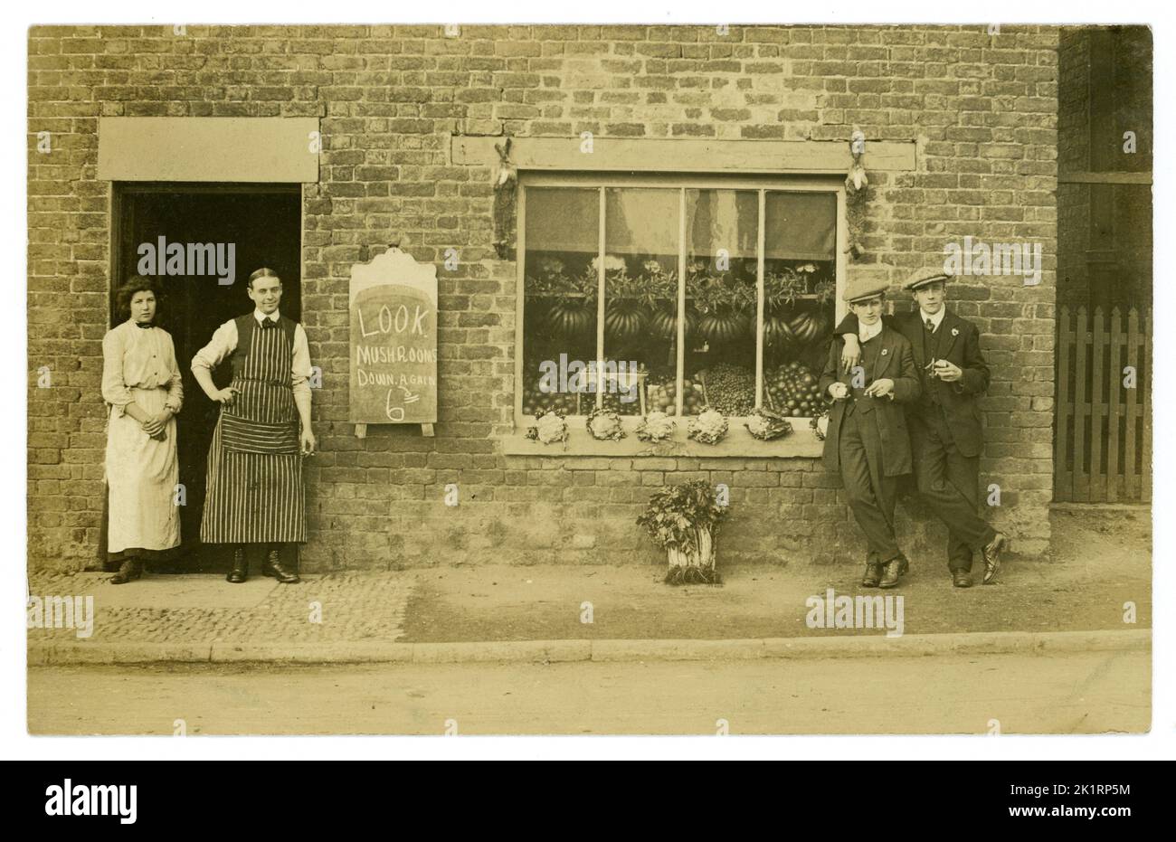 Original very clear early 1900's Edwardian era postcard of small grocery shop, general store, independent, selling vegetables - cauliflowers, celery, fruit - bananas - displayed in the shop window. Display board advertising mushrooms reduced in price. A rabbit hangs from each side of the window. The husband and wife, couple, proprietors (the man wearing a stripy apron) stand outside their store with 2 fashionable lads in suits and wearing flat caps, customers, cheeky characters, friends, friendships, gay maybe . Circa 1912. Village in the U.K. Stock Photo