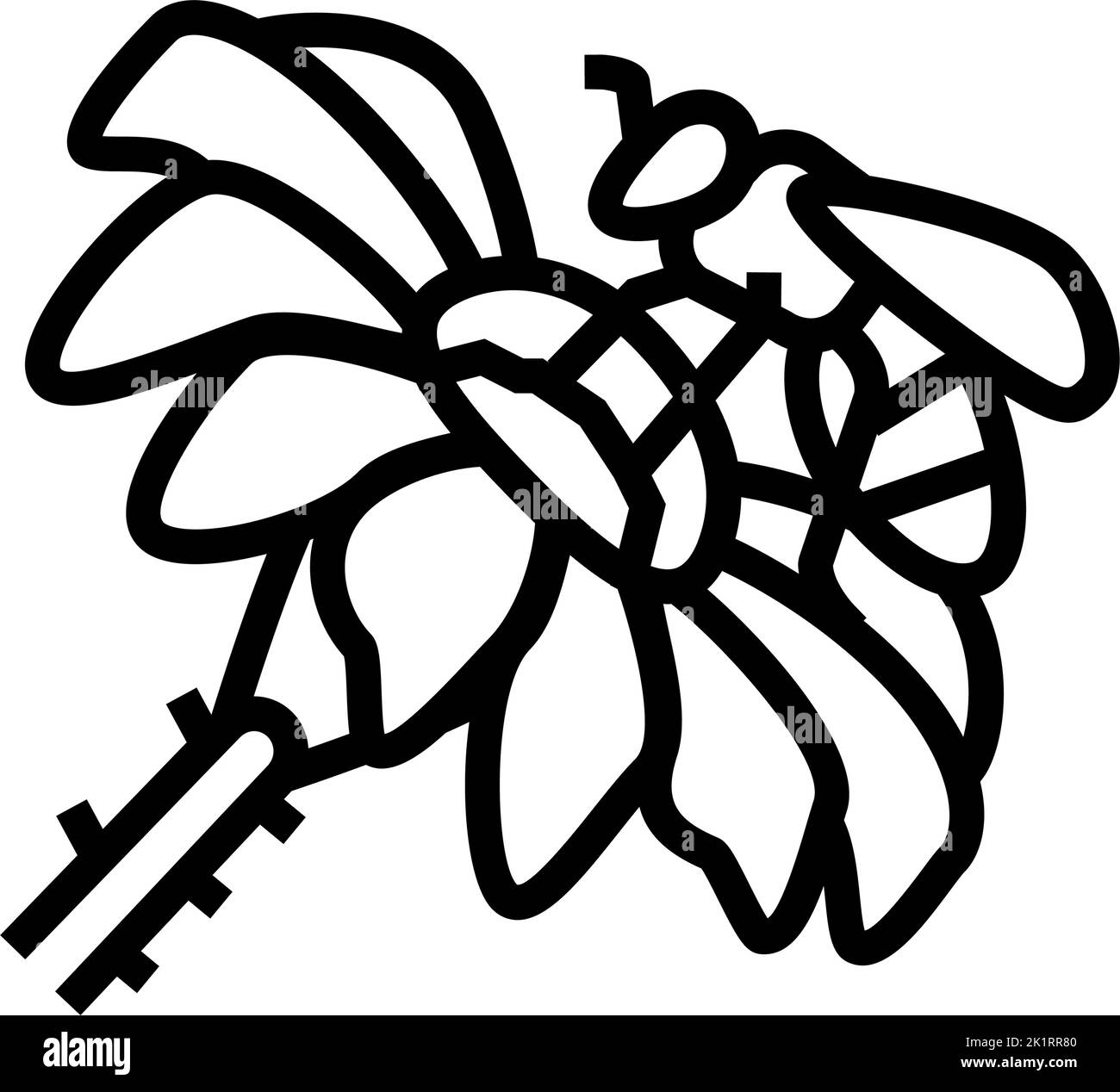 bee spring flower line icon vector illustration Stock Vector Image ...